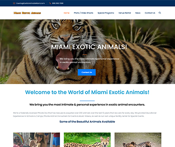 Exotic Animal Rental Miami - Zthinkers